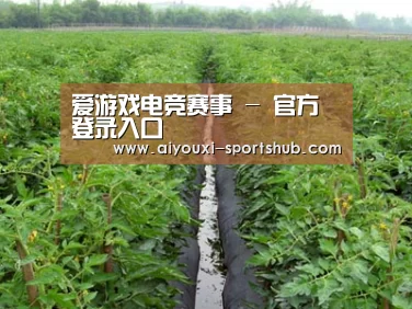 种植基地三