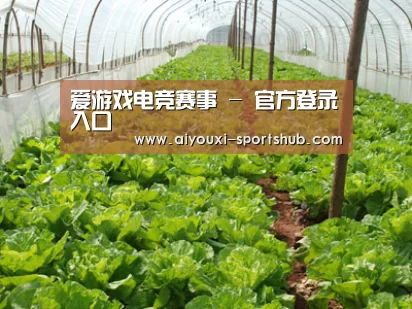 种植基地五