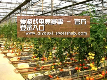 种植基地二