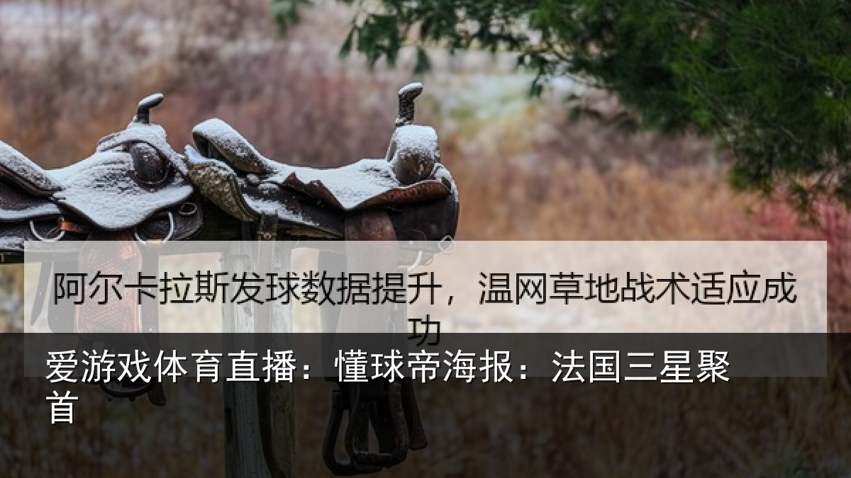 爱游戏体育直播：懂球帝海报：法国三星聚首