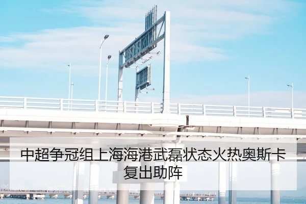 中超争冠组上海海港武磊状态火热奥斯卡复出助阵