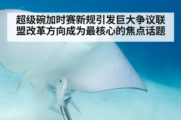 超级碗加时赛新规引发巨大争议联盟改革方向成为最核心的焦点话题