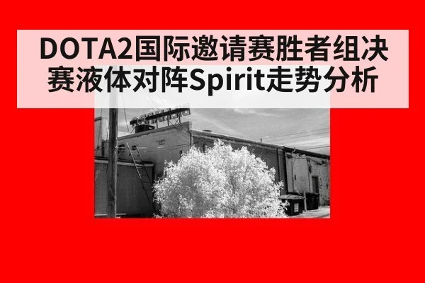 DOTA2国际邀请赛胜者组决赛液体对阵Spirit走势分析